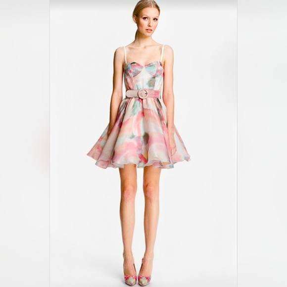 Alice + Olivia Dresses & Skirts - Alice + Olivia • Watercolor Print Bustier Dress
